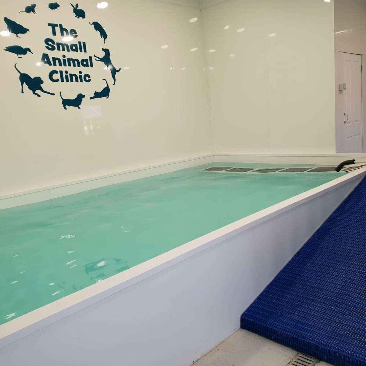 Hydrotherapy-pool-picture-edited-2