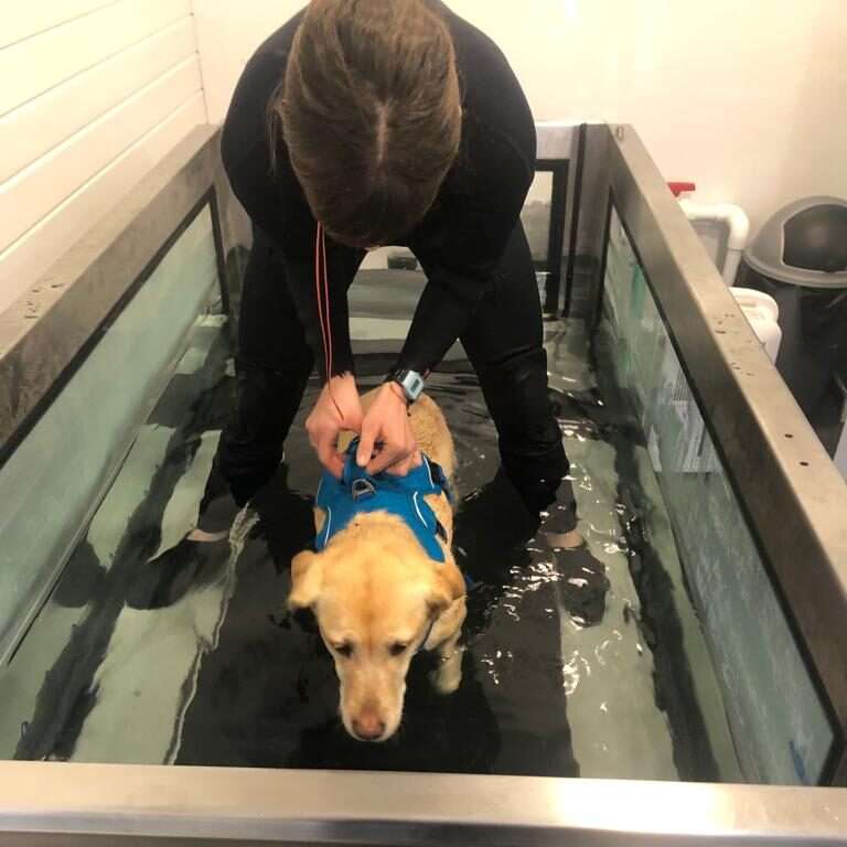 hydrotherapy-treadmill-edited